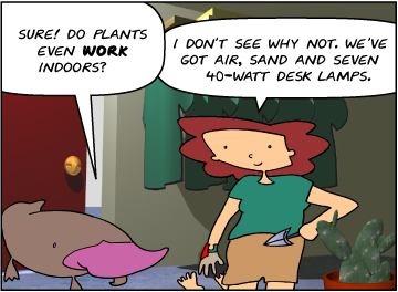 Zeke: Sure! Do plants even work indoors? | Bridget: I don't see why not. We've got air, sand and seven 40-Watt desk lamps.