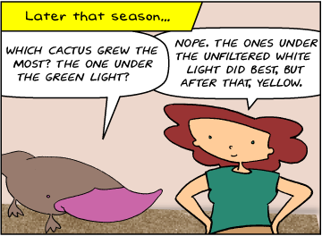 Later that season… | Zeke: Which cactus grew the most? The one under the green light? | Bridget: Nope. The ones under the unfiltered white light did best, But after that, yellow.